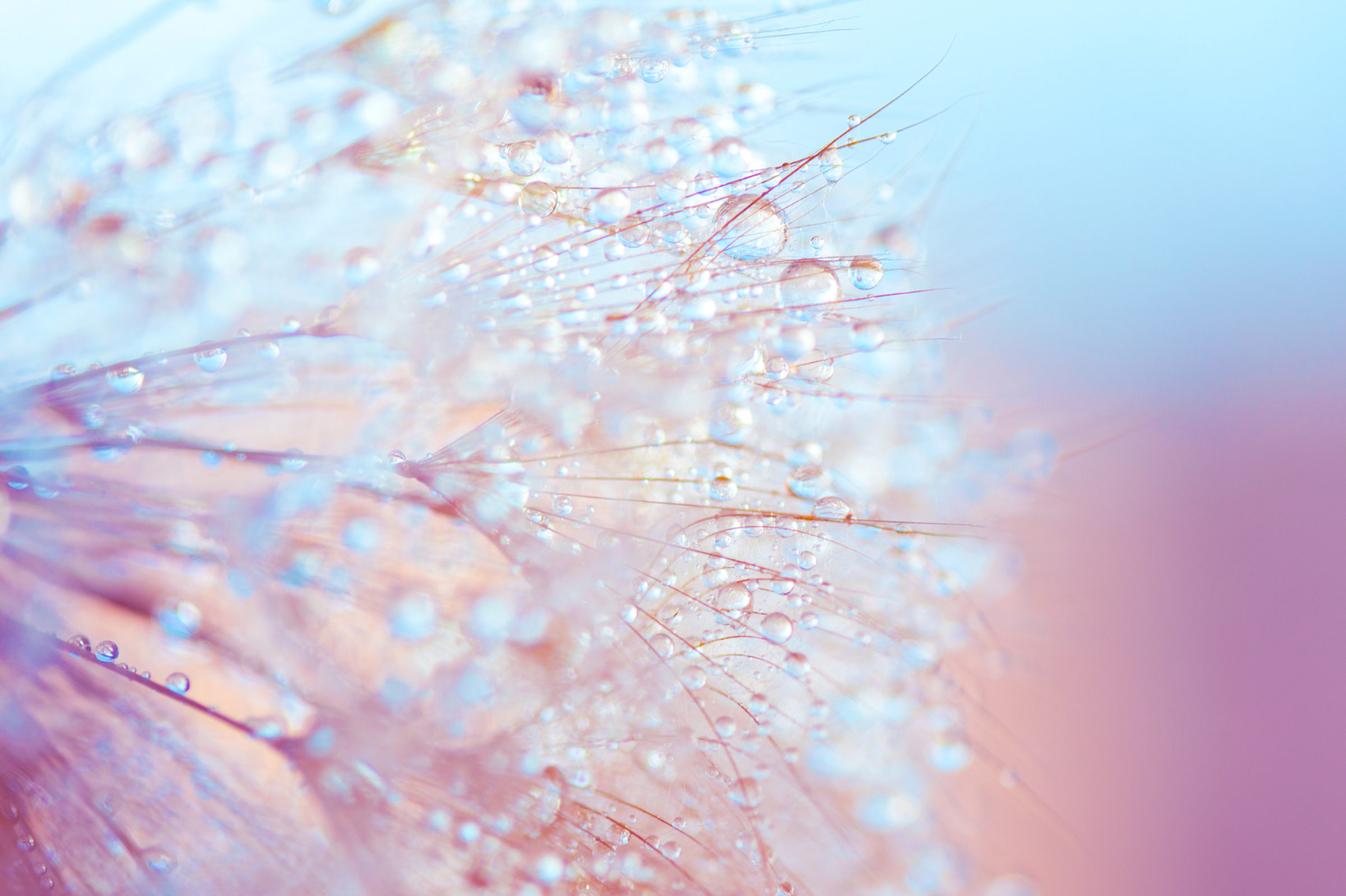 Psychic, Medium and Author Cover Image